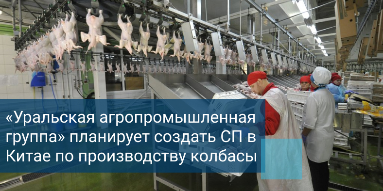 птицефабрика