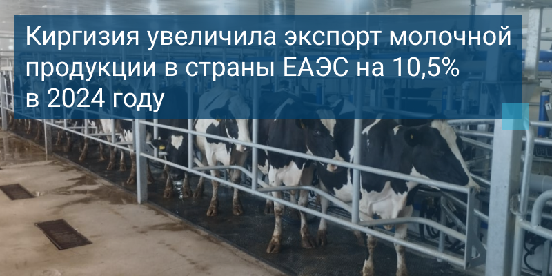 Киргизия увеличила экспорт молочной продукции в страны ЕАЭС