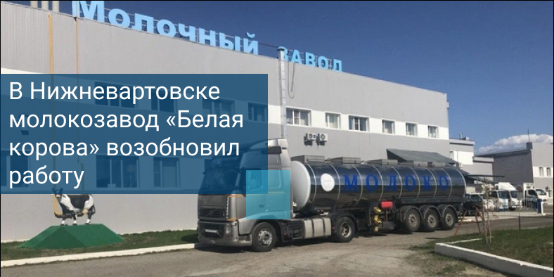 Молочный завод «Белая корова»