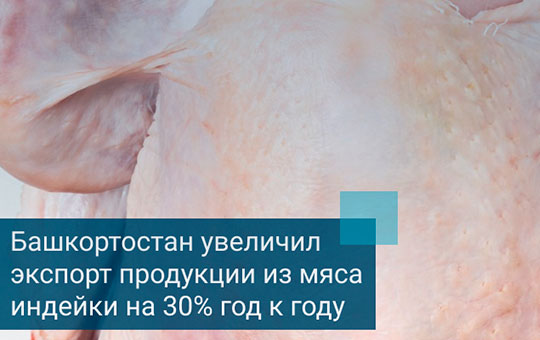 Башкортостан увеличил экспорт продукции из мяса индейки на 30% год к году